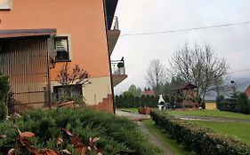 słoneczne apartamenty